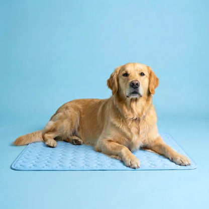 Le tapis qui reste frais — même après des heures sous votre chien.
