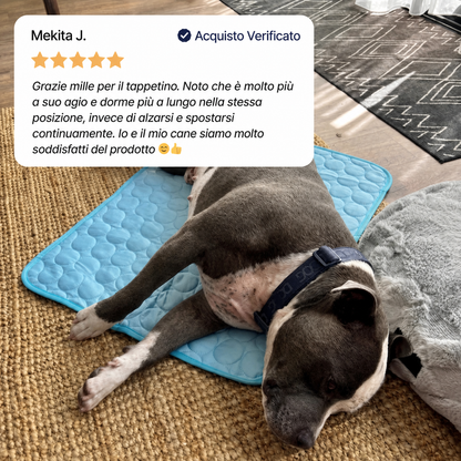 Il tappetino che resta fresco — anche dopo ore sotto il tuo cane.